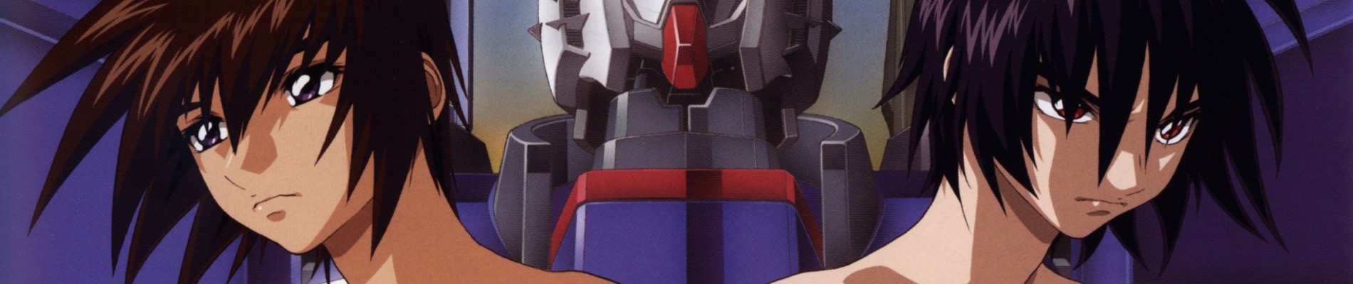 Mobile Suit Gundam SEED Destiny Final Plus: The Chosen Future
