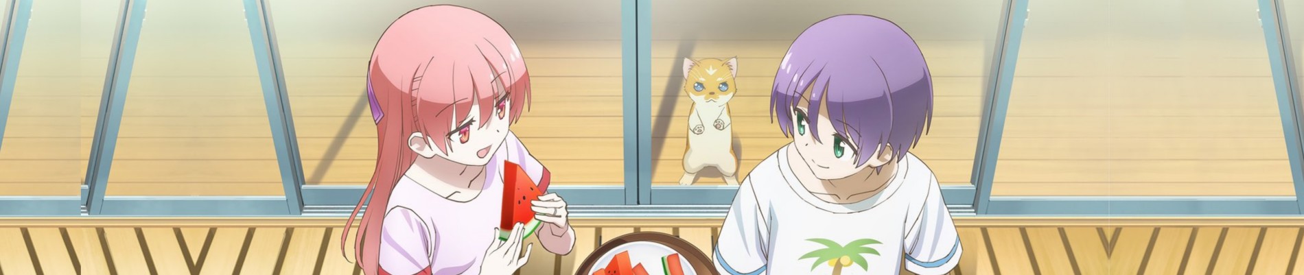 Tonikaku Kawaii 2nd Season
