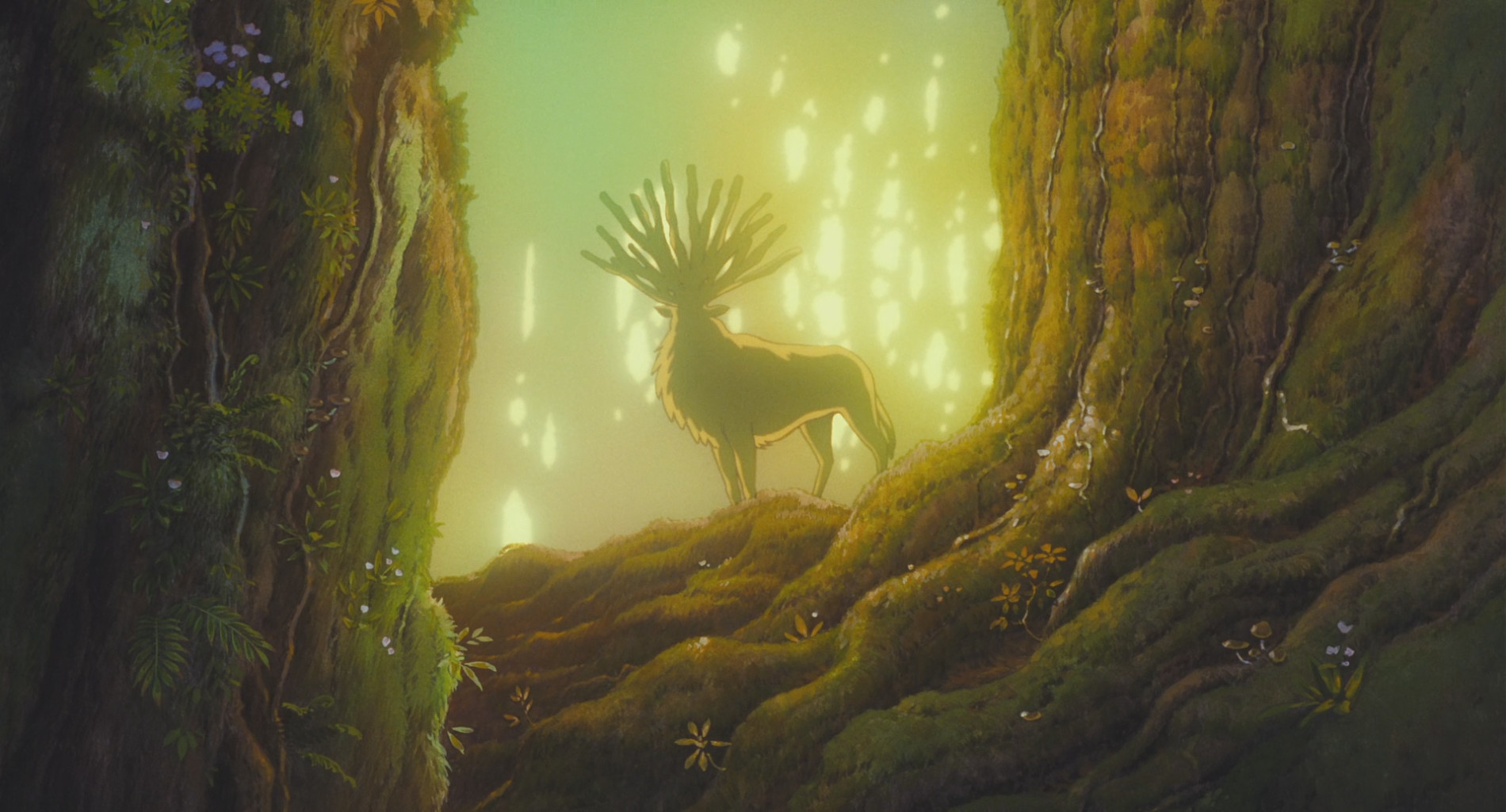 Mononoke Hime
