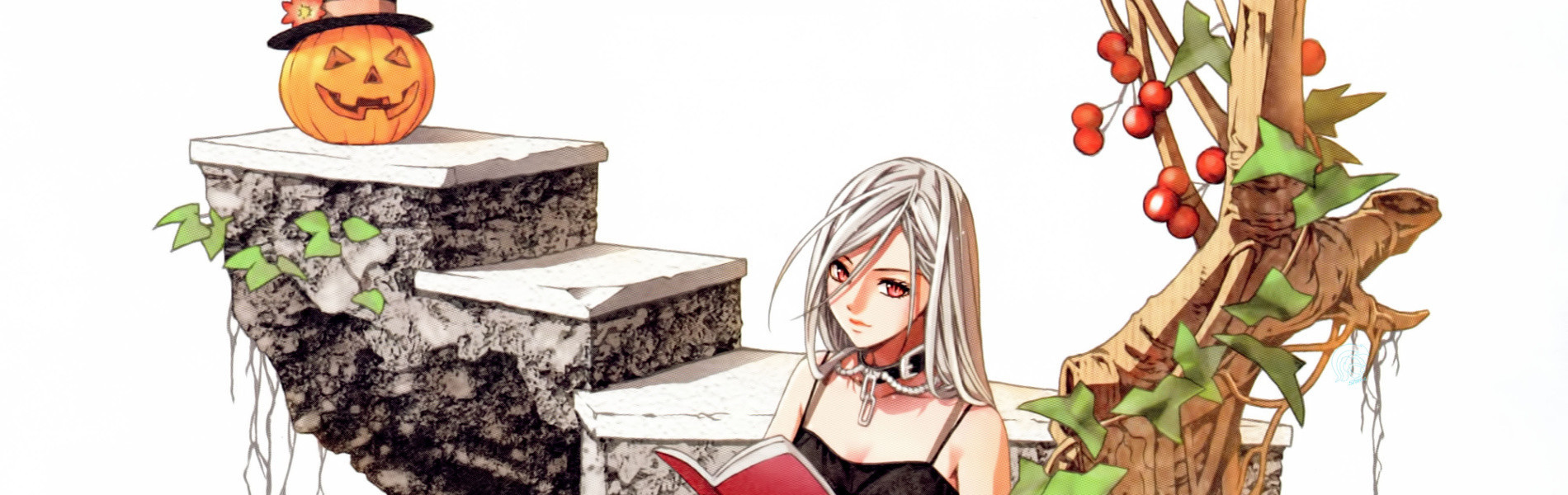 Rosario to Vampire Capu2
