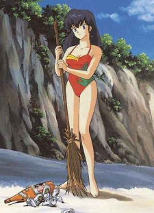 maison ikkoku bangai hen ikkokujima nanpa shimatsuki