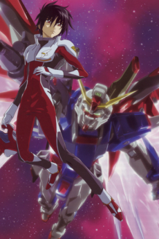 mobile suit gundam seed destiny special edition