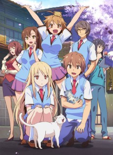 Sakura-sou no Pet na Kanojo تورنت