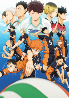 Haikyuu!! تورنت