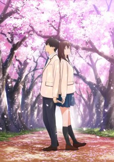 Kimi no Suizou wo Tabetai تورنت