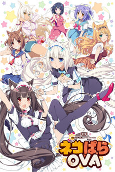 nekopara ova